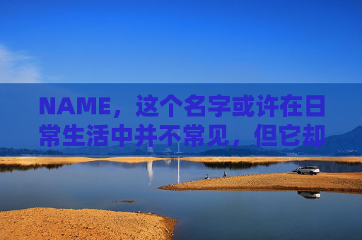 NAME，这个名字或许在日常生活中并不常见，但它却在某些领域里扮演着重要的角色。今天，让我们一起来探索这个名字背后的故事和意义